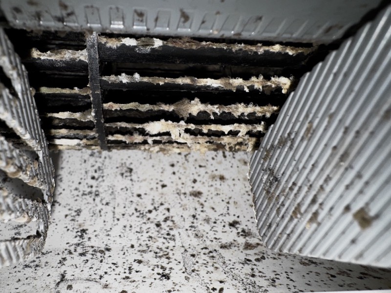 エアコン洗浄 ビフォー